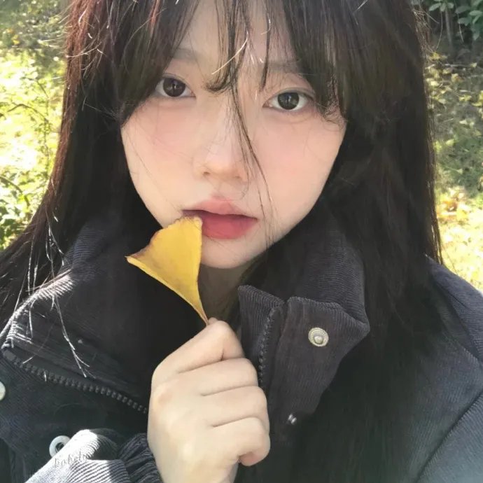 冬狮(电视剧)