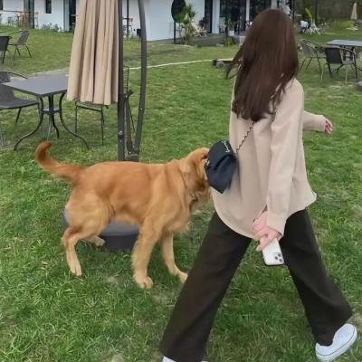 我家娇妻不好惹